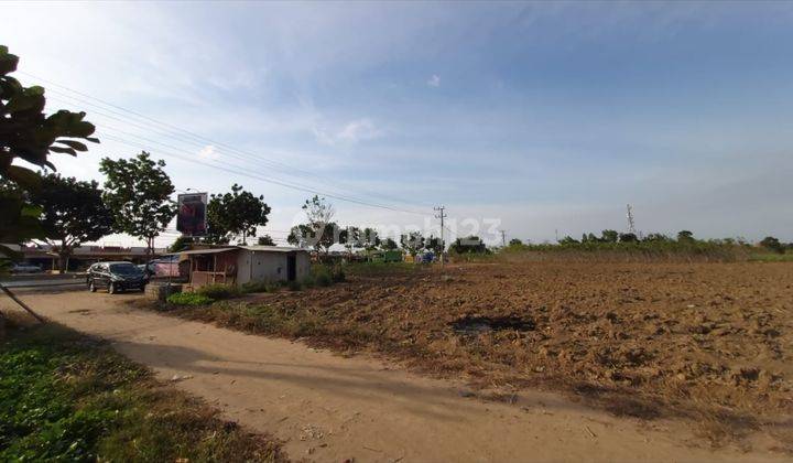 Tanah kebun terbanggi besar. Lampung tengah. Masih produktif. Dikelilingi oleh perusahaan perusahaan perkebunan besar. Sangat prospektif 1