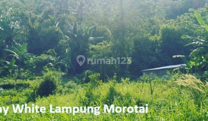 Tanah murah tanjung karang timur Cocok utk rumah. Kolam renang Red doorz 1