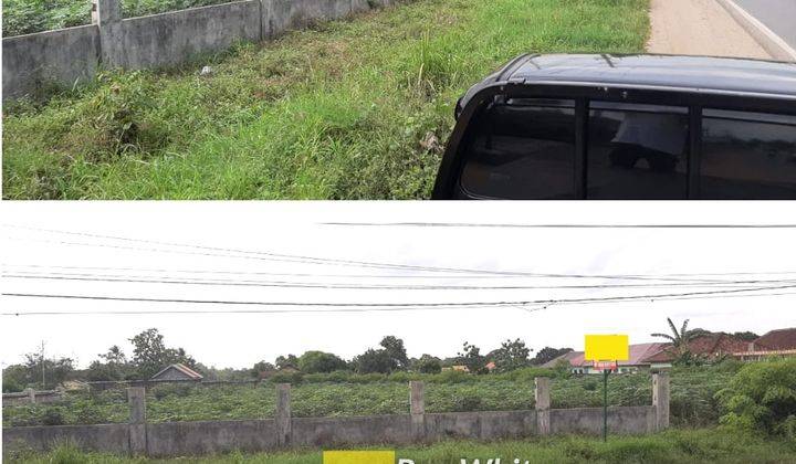 Tanah kosong Pinggir jalan raya natar.  Sangat cocok untuk Perumahan Pabrik Gudang Kantor  Prospek investasi Jangka panjang 2