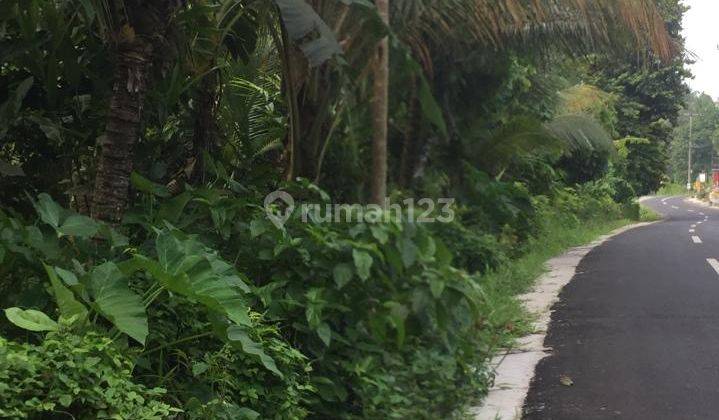 Tanah kebun cantik super super murah dipinggir jalan hotmix 2