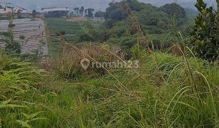 Butuh cepat dan murah tanah siap bangun di Babakan Madang Bojong koneng Bogor 1