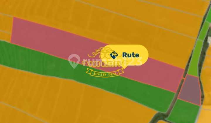 Tanah Jual Lokasi Seseh