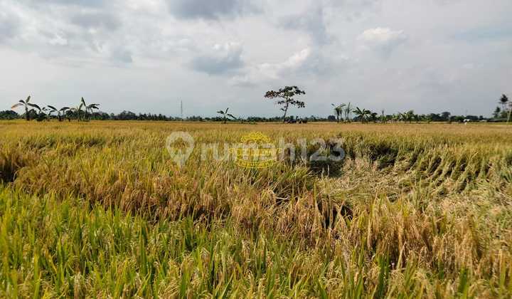 Tanah Jual Lokasi Pantai Nyanyi