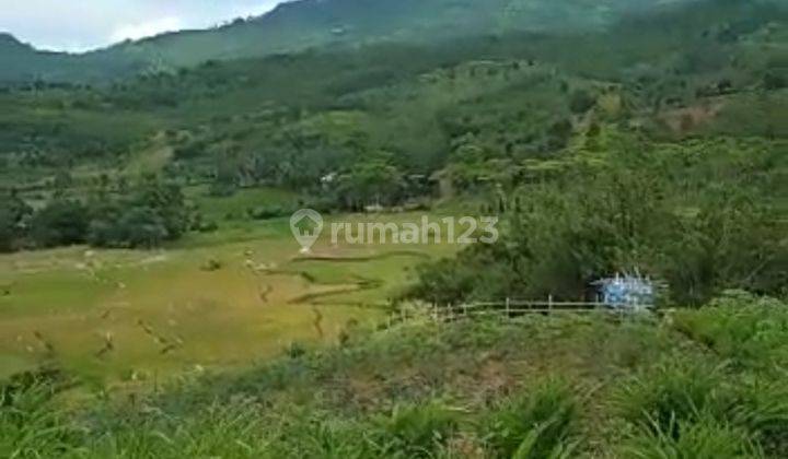 Tanah murah untuk investasi atau berkebun dipabuaran Sukamakmur  1