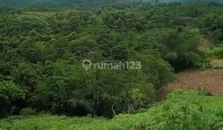 Tanah murah untuk investasi atau berkebun dipabuaran Sukamakmur  2