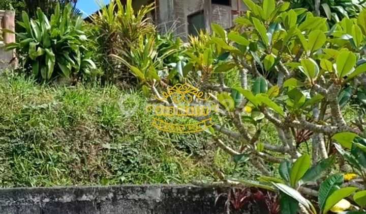 Tanah Jual Lokasi Bedugul Tanah Jual Lokasi Bedugul