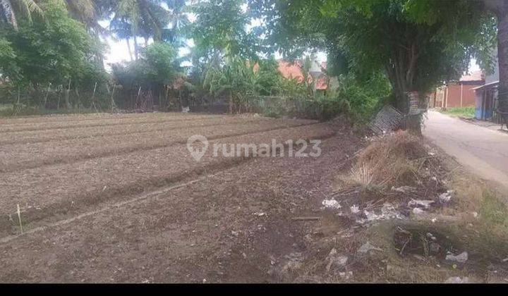 Tanah siap bangun di Teluk naga 2