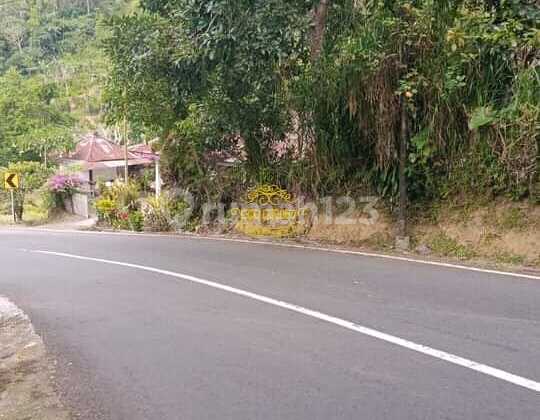 Land for Sale in Munduk Location Land for Sale in Munduk Location