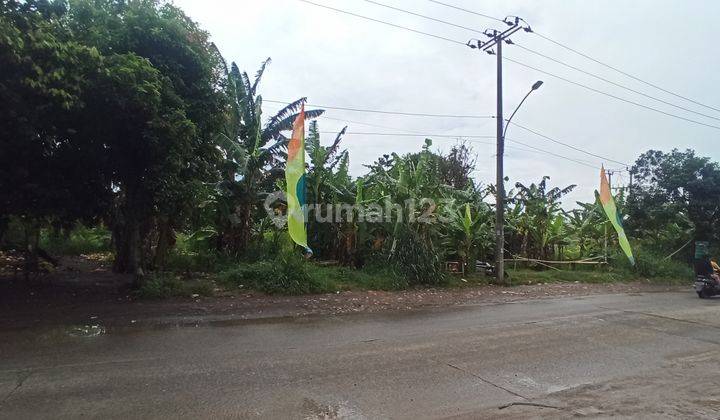 Lokasi tanah di pinggir jalan Raya Cisauk Lapan Serpong Lt 4300m2, P69 L 62 meter, SHM,  Datar dan Sangat Bagus untuk investasi 2