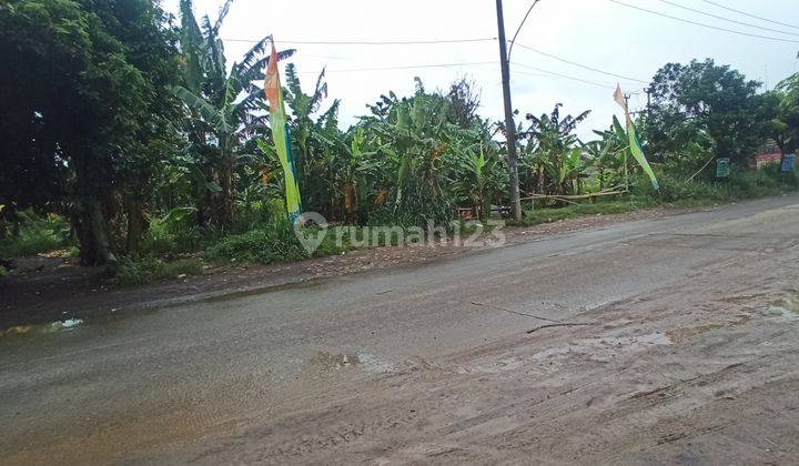 Tanah Pinggir Jalan Raya Cisauk Lapan Serpong Lt 4000m2 Termurah 1