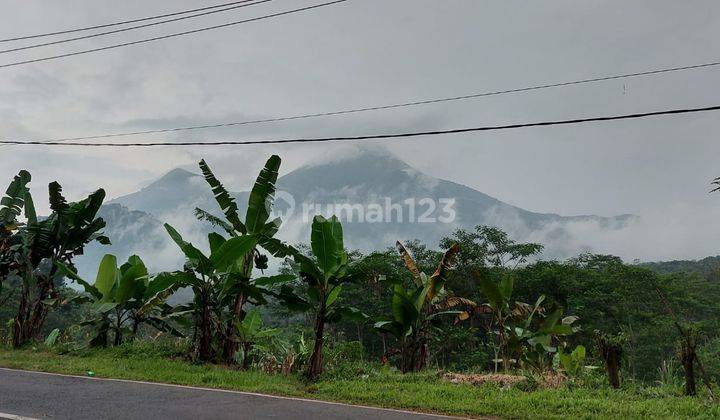 Lahan siap bangun, Raya Trawas Mojokerto.  1