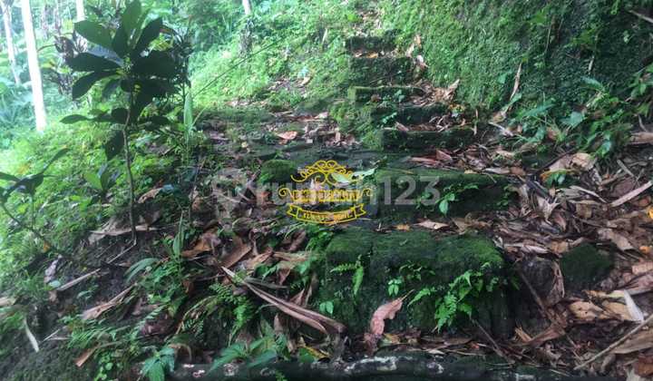 Land for Sale in Senganan Location Land for Sale in Senganan Location