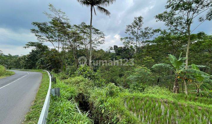 Tanah Luas Cocok Untuk Perumahan Limbangan Sumowono Pakis Kendal 1