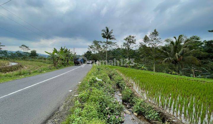 Tanah Luas Cocok Untuk Perumahan Limbangan Sumowono Pakis Kendal 2