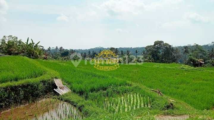 Land for Sale in Tegallalang Location