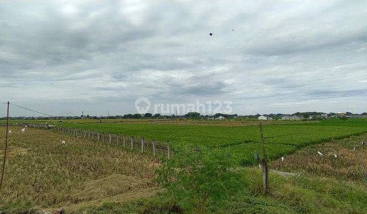 Lahan Matang Tambun Selatan 4.1Ha dekat Tol Cicil 300rb/m2 1