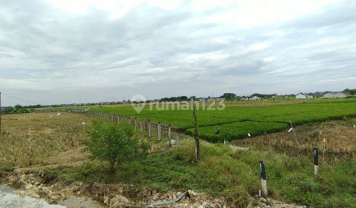 Lahan Matang Tambun Selatan 4.1Ha dekat Tol Cicil 300rb/m2 2