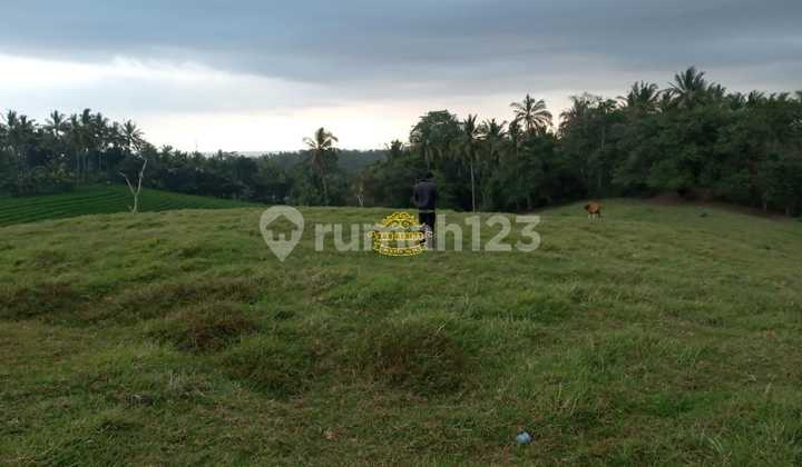 Tanah Jual Lokasi Soka