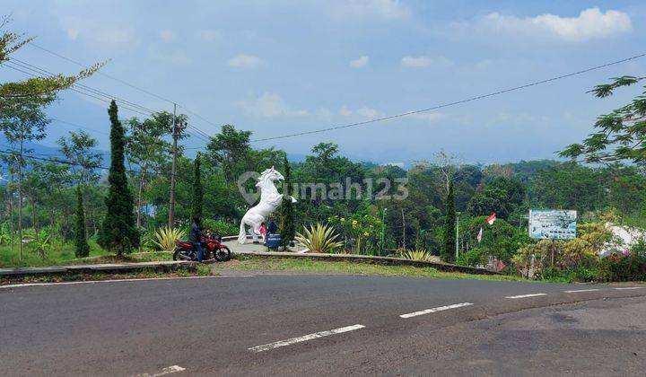 Ledug Tretes, Lahan mateng untuk vila dan cafe. 1