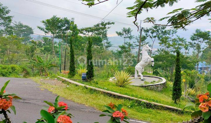 Ledug Tretes, Lahan mateng untuk vila dan cafe. 2