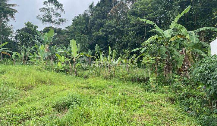 Tanah Kebun Super Murah dan Luas di Goalpara Sukabumi Dekat Pusat Kota 1