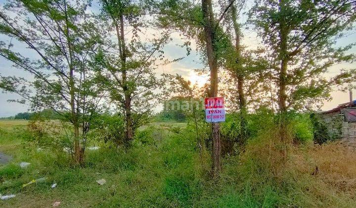 Lahan depan pabrik  Meiji Bangil Pasuruan.  1