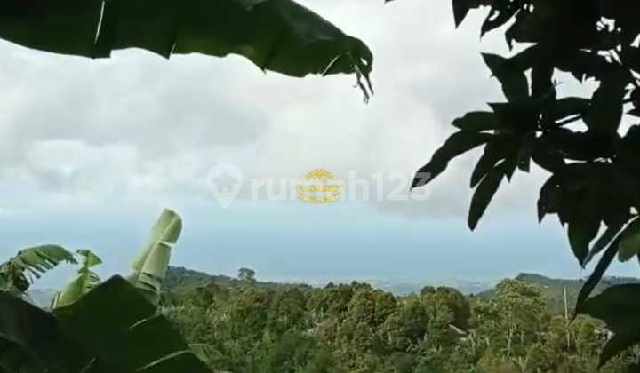Tanah Jual Lokasi Munduk 1