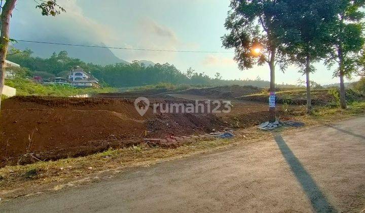 Lahan Abdul Gani atas, Batu Jawa Timur.  1