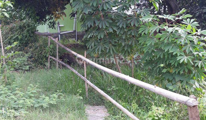 Tanah Di dalam kota, jarak hanya 6 menit dari bandara komodo di labuan bajo 1