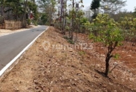 Tanah Wisata Taman Toga Ngunut Karanganyar Cocok Untuk Invest  2