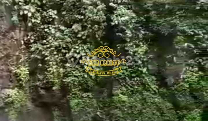 Land for Sale in Pelaga Location Land for Sale in Pelaga Location