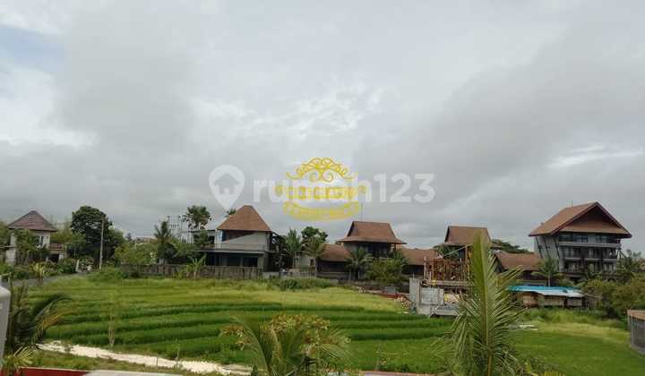 Land for Sale in Pererenan Location