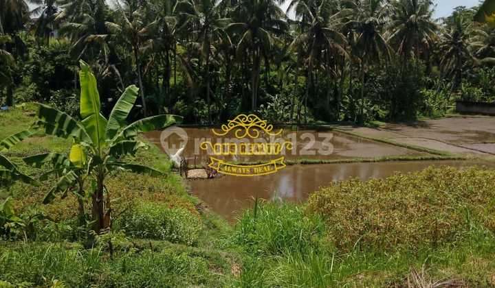 Tanah Jual Lokasi Singakerta