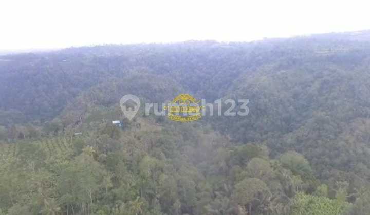 Tanah Jual Lokasi Payangan