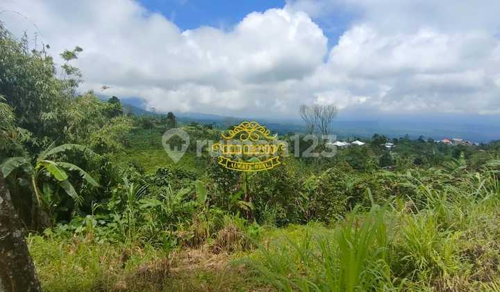 Tanah Jual Lokasi Munduk 1