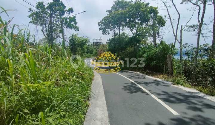 Tanah Jual Lokasi Munduk 2