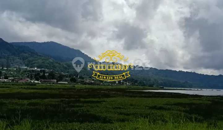 Land for Sale in Pancasari Location