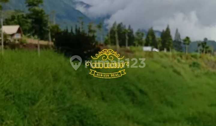 Land for Sale in Pancasari Location