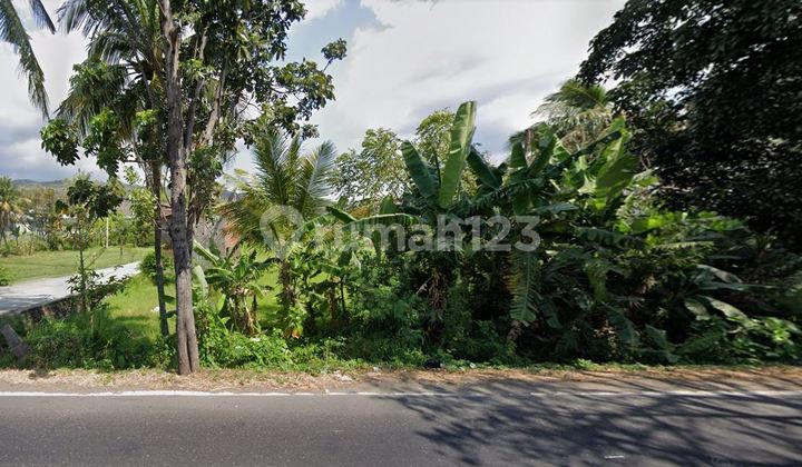 TANAH MAINROAD SERIRIT SINGARAJA LOVINA BULELENG BALI KAWASAN VILLA DAN RAMAI TANAH MAINROAD SERIRIT SINGARAJA LOVINA BULELENG BALI KAWASAN VILLA DAN RAMAI