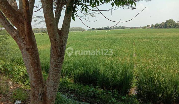 Murah Dibawah 500 Ribu Per Meter Tanah di Kutawaluya Karawang 1