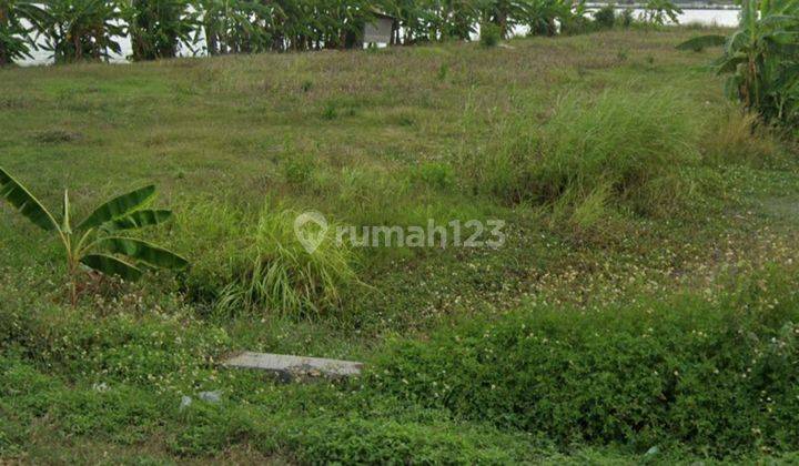 Tanah Zona Industri Sudah Urug di Raya Onggorawe, Sayung 1