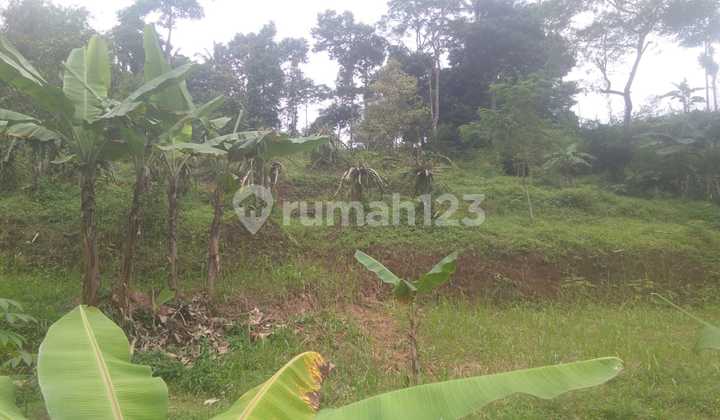 Tanah untuk berkebun investasi dekat kali sungai dicijeruk 