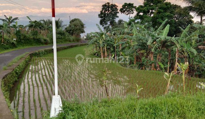 Tanah sawah&darat sangat strategis view lepas dicijeruk  1