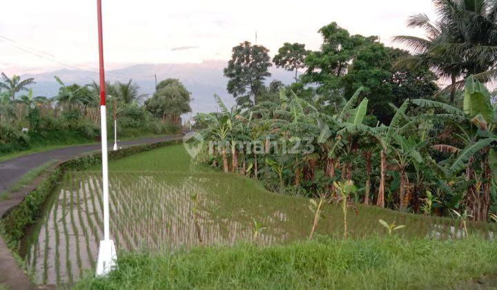 Tanah sawah&darat sangat strategis view lepas dicijeruk  2