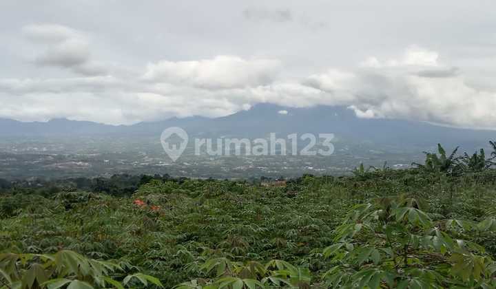 Tanah sangat strategis banget buat bisnisview the best dicijeruk 