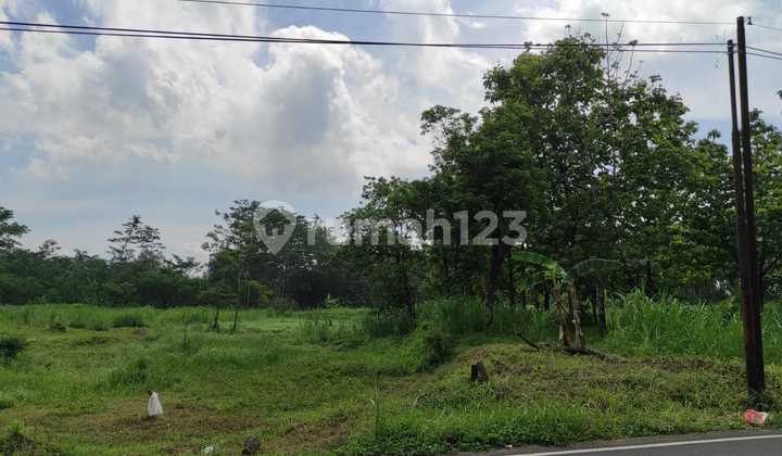 Tanah Industri Bulukandang Pandaan Pasuruan Tanah Industri Bulukandang Pandaan Pasuruan