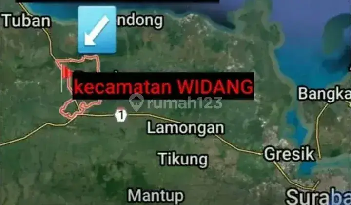 TANAH INDUSTRI ZONA III RAYA TUBAN WIDANG 1