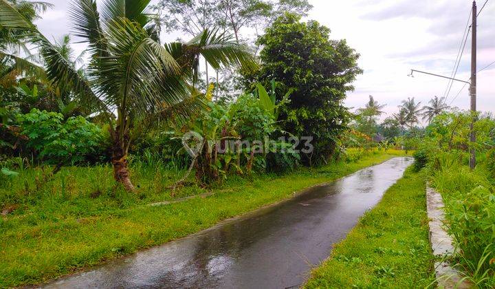 TANAH VIEW SAWAH DAN GUNUNG CCK VILLA ATAU RUMAH TINGGAL 2