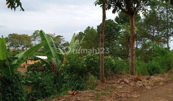 Tanah Murah View Kota Bandung Di Dago Bukit Pakar Timur  2