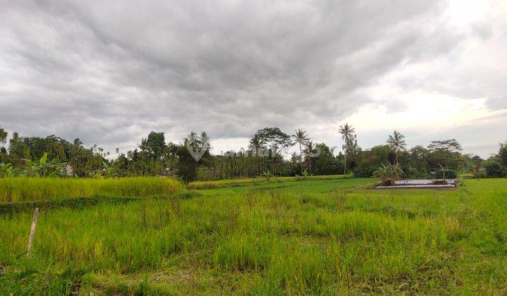 TANAH ASRI BUAT USAHA RESTO / PENGINAPAN / VILLA 1